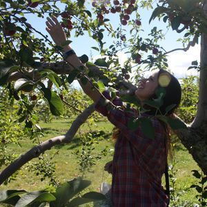 Meet your Posher, Katrina